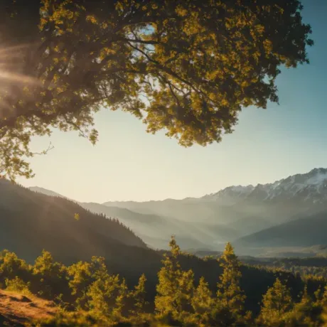 Horizon Forest