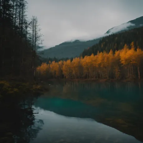 Meadow Ocean