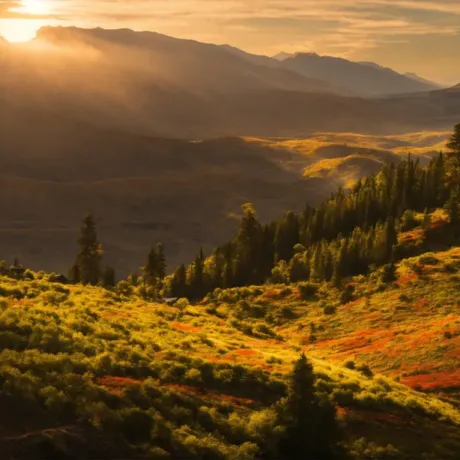 Sunset Essence